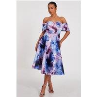 Quiz Women's Light Blue Petite Floral Skater Dress | Size: 10