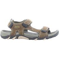 Trespass Men's Belay Walking Sandals in Dark Brown | Size: 8
