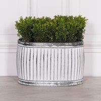 Glasstone Dolly Tub Oval Metal Planter - Small in White