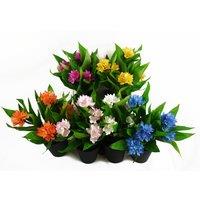 Leaf Artificial 6x 18cm Freesia Plants in Assorted Colours Flowering in Green | Size: 6x 18 cm
