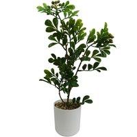 Leaf 45cm Artificial Aglaia Odorata Bonsai Ficus Tree in Green