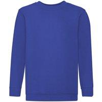Fruit of the Loom Set In Sleeve Sweatshirt Pack of 2 in Royal | Size: 3-4 Years