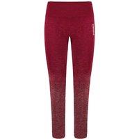 Adapt Ombre Burgundy Leggings