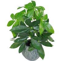 Leaf 50cm Artificial Money Tree Plant in Green