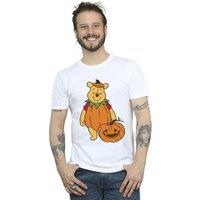 Winnie the pooh 