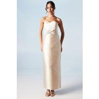 Coast Women's Bandeau Twill Bow Back Bridesmaid Dress in Champagne | Size: 14