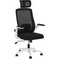 HOMCOM Executive Mesh Office Chair with Headrest, Lumbar Support in Black