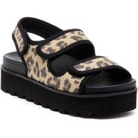 Rocket Dog Women's Balmy Dexter Sandal | Size: 6