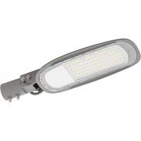 CGC Lighting Indiana 60W LED Streetlight in Metallic Silver