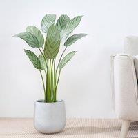 MCC Direct Artificial Bird of Paradise Tree Plant with Plastic Planter Pot 160cm