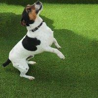 Artificial Grass GB Rio 30mm Artificial Grass in Green | Size: 4000mm x 8000mm