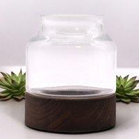 KDMD Small Shaped Terarium on Dark Tung Wood in Brown
