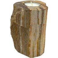 KDMD Petrified Wood Candle Holder - Single Tall in Brown