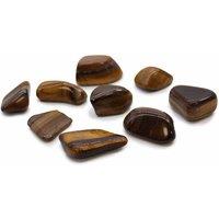 KDMD L Tumble Stones - Tiger Eye - Gold - (Set of 24) in Brown