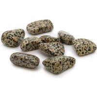 KDMD XL Tumble Stones - Dalmation Stone - (Set of 18) in Cream