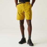 Regatta Men's Mallen Short in Yellow | Size: Medium