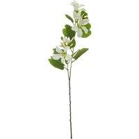Hill Interiors Bauhinia Orchid Spray Artificial Flower in Cream