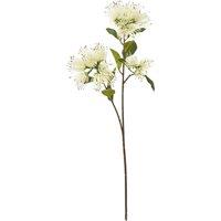 Hill Interiors Protea Nitida Stem Artificial Flower Spray in Cream