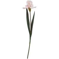 Hill Interiors The Natural Garden Collection Fringed Iris Artificial Flower in Pale Pink