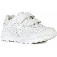 Geox Pavel School Shoe in White | Size: Infant 13