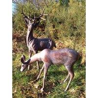 Inspirational Gifting Extra Large Stag & Doe Deer Sculptures Garden Ornaments in Bronze
