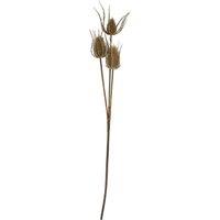 Hill Interiors Triple Teasel Artificial Flower in Brown