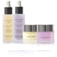 London Botanical Laboratories Bakuchiol Serum Anti-Aging 30ml + Vitamin C Serum Anti-Wrinkle 30ml+Vitamin C Day Cream Face Brightening 50ml+