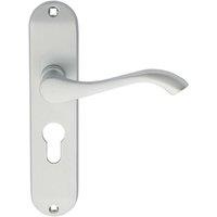 Loops PAIR Curved Handle on Chamfered Euro Lock Backplate 180 x 40mm Satin Chrome