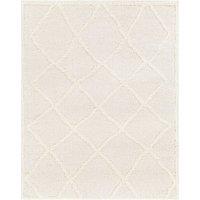 SUMAYA Shaggy Modern Plush Pile Area Rug