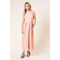Dorothy Perkins Women's Petite DP Luxe Lace Keyhole Midi Dress in Peach | Size: 8
