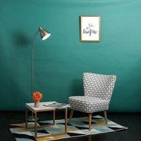 ValueLights Flexi Neck Silver Floor Lamp