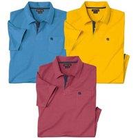 Plain Polo Shirt (Pack of 3)
