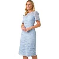 Roman Women's Petite Lace Short Sleeve Dress in Blue | Size: 14