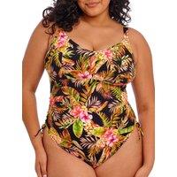 Tiger Valley Non Wired Swimsuit