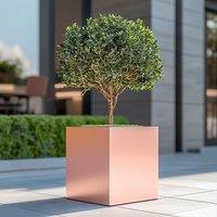 Woven Wood 50cm Zinc Brushed Rose Gold Finish Square Planter