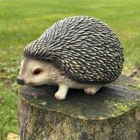 Animal Crackers Cute Hedgehog Figurine Home Or Garden Decoration, Gift Boxed in Brown