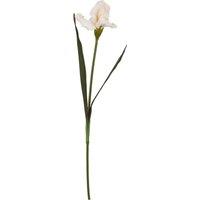 Hill Interiors The Natural Garden Collection Fringed Iris Artificial Flower in Green