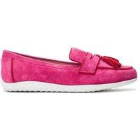 'Elinia' Suede Ballet Pumps