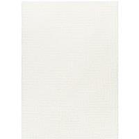 DARIANA Shaggy Modern Plush Pile Area Rug