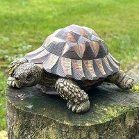 Animal Crackers Realistic Tortoise Figurine Home Or Garden Decoration, Gift Boxed, Length 20cm in Brown