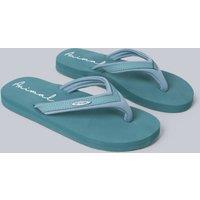 Animal Women's Swish Logo Flip Flop in Pale Green | Size: 5