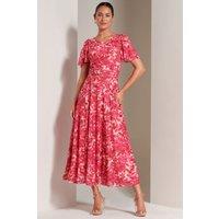 Jolie Moi Women's Elvira Print Mesh Maxi Dress in Pink | Size: 8
