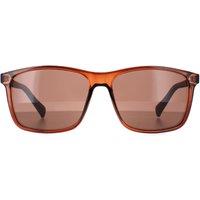 CALVIN KLEIN Men's Rectangle Crystal Brown Brown CK19568S