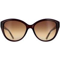 CALVIN KLEIN Women's Cat Eye Crystal Brown Brown CK19536S