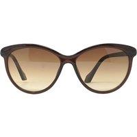 CALVIN KLEIN Women's Cat Eye Crystal Brown Brown Gradient CK19534S