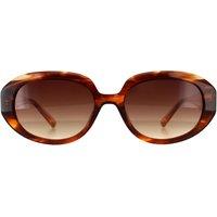 Ted Baker Women's Oval Brown Horn Brown Gradient TB1689 Penny