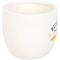 Something Different Bunny Treats Ceramic Pot in White