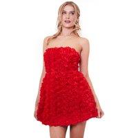 Jaded Rose Women's Jumi Red Rose Appliqu A Line Mini Dress | Size: 6