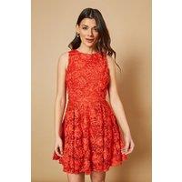 Oasis Women's Textured Lace Halter Neck Mini Dress in Red | Size: 14