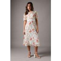Coast Women's Floral Print Lace Dress | Size: 8